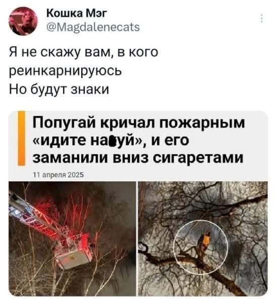 Немного картинок