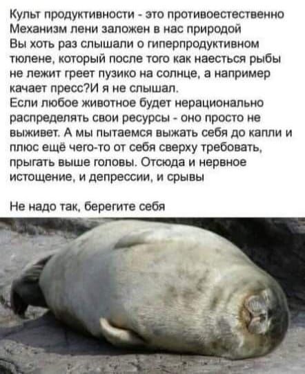 Четверговые картинки