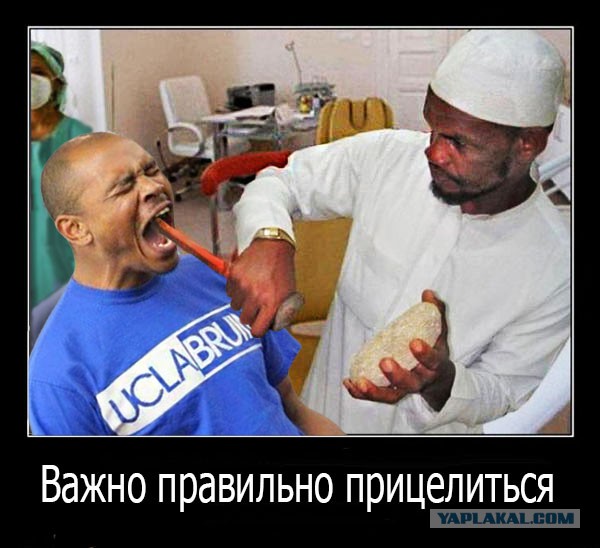 Фотожаба: Ща спою!