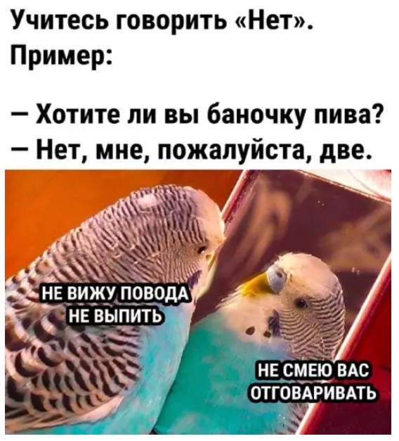 Картиночки, баянчики 06 апреля