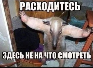 Картинки для деградации 205 (разной степени свежести)