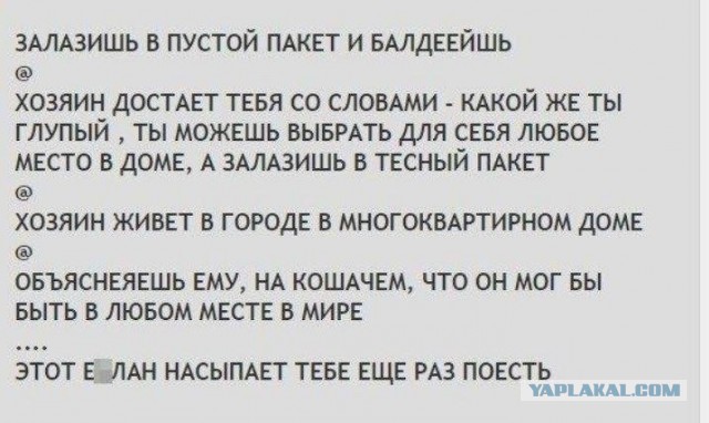 Картинки для деградации 220 (разной степени свежести)