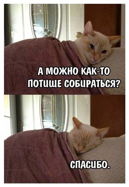 Картинки для деградации 235 (разной степени свежести)