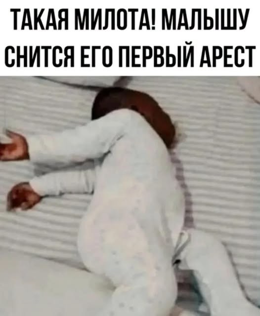 Картинки для деградации 309 (разной степени свежести)