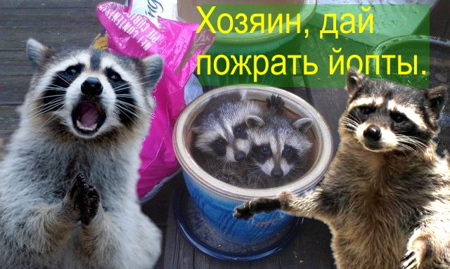 У меня радость!