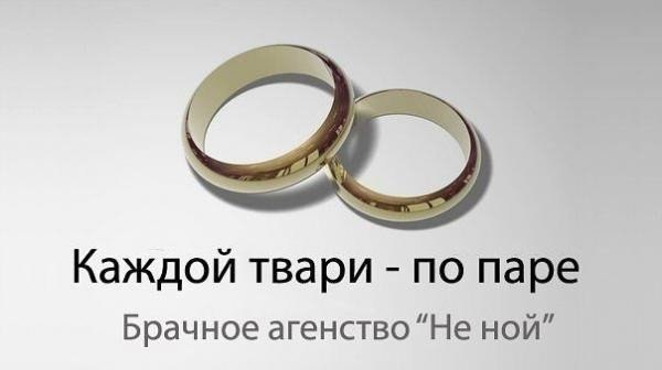 Смешные комментарии из социальных сетей #2