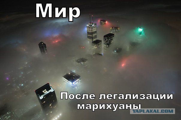 Веселые картинки? а так же комментарии)