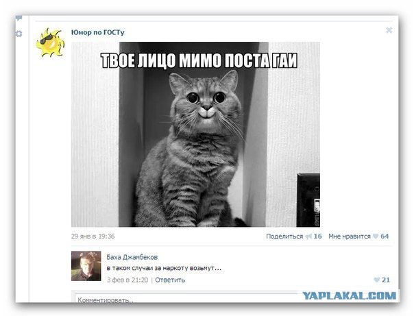 Очередная подборка смешных высказываний
