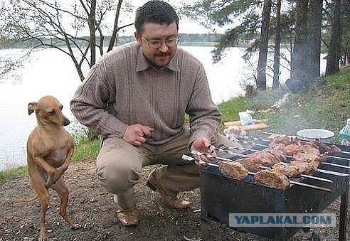 Позитивные картинки