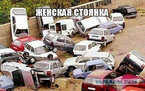 Картинки
