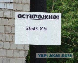 Все, все злые!