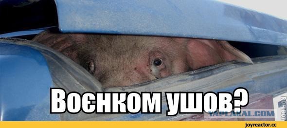 Повальная "мобилизация" в Харьковской области