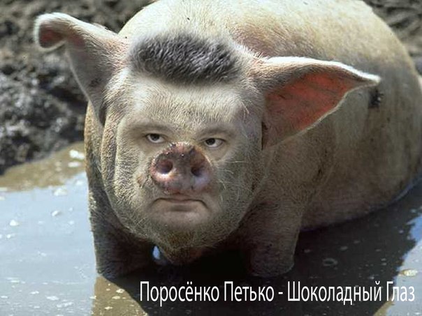 Порошенко: российская техника уничтожена