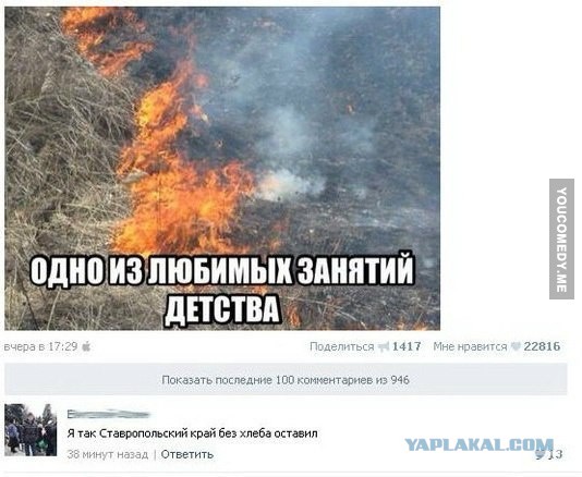 Прикольные пикчи