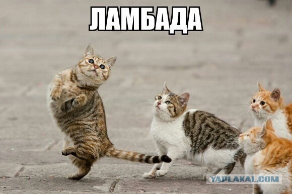 Весёлое из сети