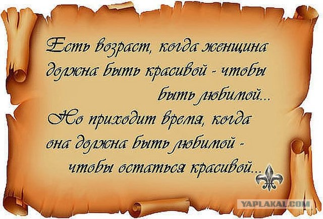 20 фактов обо всем