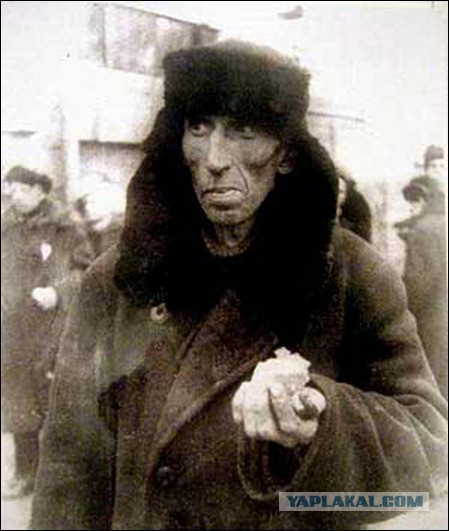 Хлеб такой, каким мы его помним