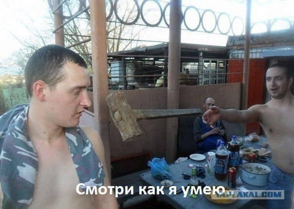 Пятничная подборка