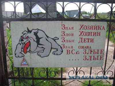 Подборка картинок