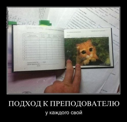 Демотиваторы