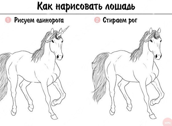 Забавные картинки из Сети