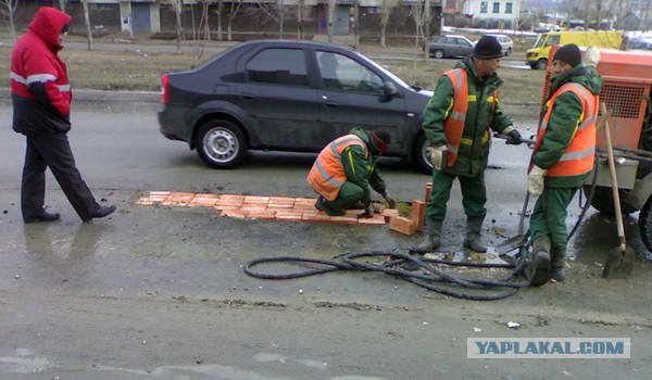 Прикольные картинки