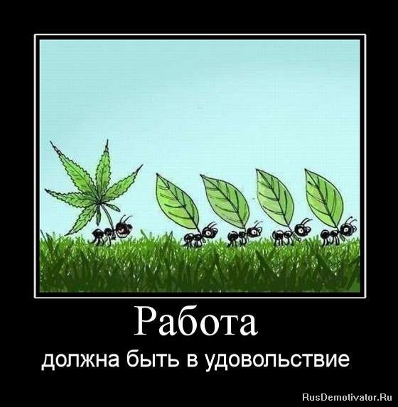 Вы хотите "демов"? часть 2-я