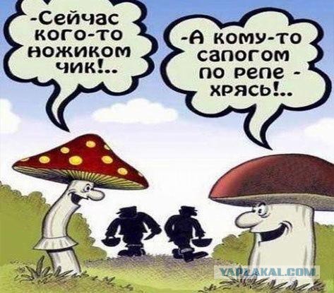 Ужасы и приколы из соцсетей 18+