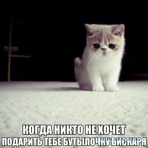 Картинки из сети