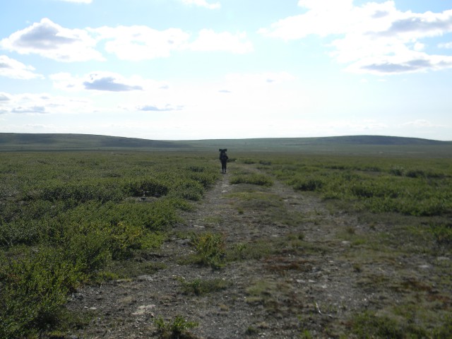 Кольский полуостров.