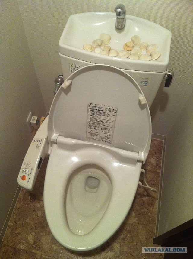 Жилье, туалеты и быт японцев