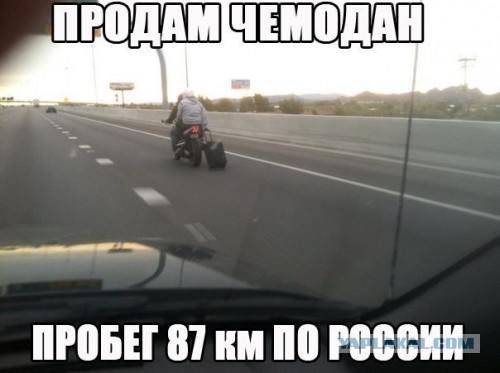 Веселые картинки