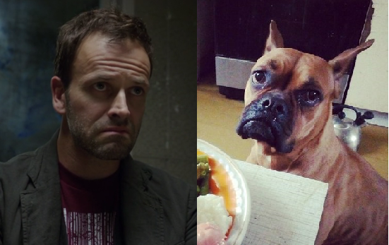 Двойники есть у всех