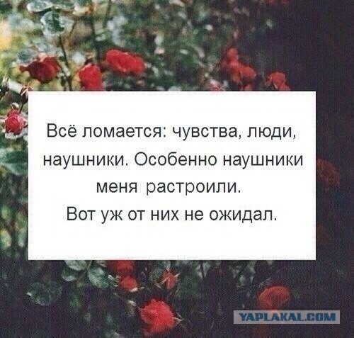 Абсурдный юмор ч.15