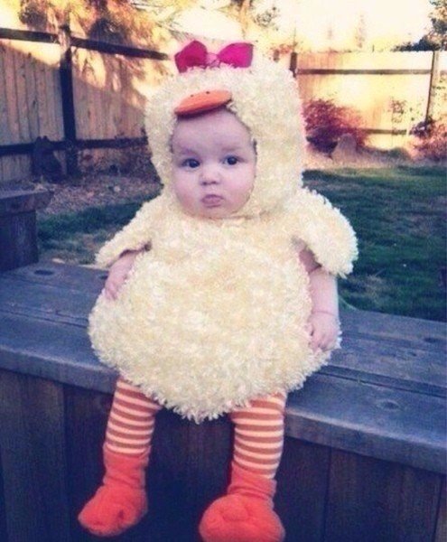 Подборка интересных и веселых фото