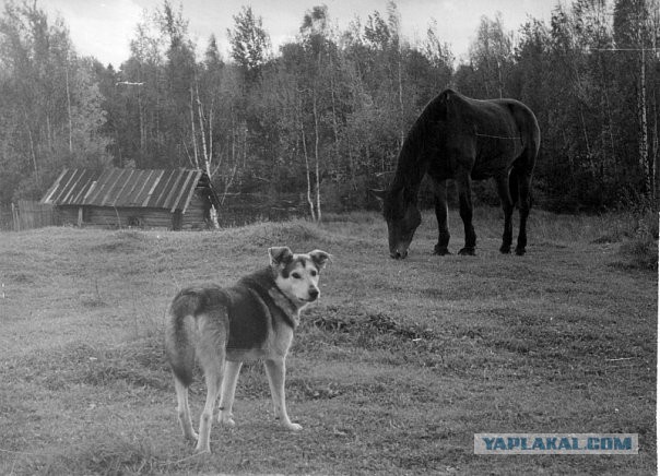 Интересные фотографии из прошлого