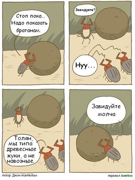 Картинки смешные и тупые
