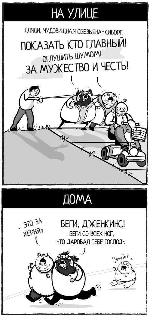 Если бы мои собаки были парой взрослых мужиков, часть 2-я