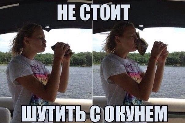 Ассорти картинок из сети