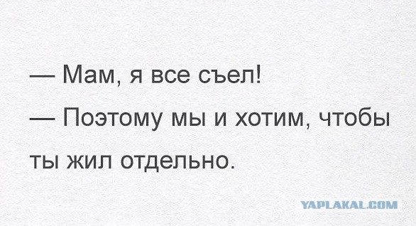 Подборка интересных и смешных картинок