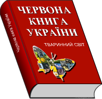 Украина, Донбасс, Крым. Я узнал правду