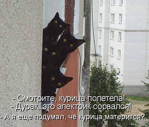 В преддверии упоротой пятницы