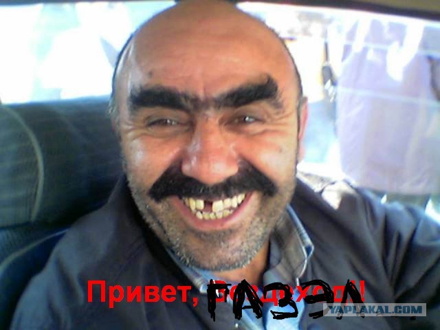 У газелистов свои правила