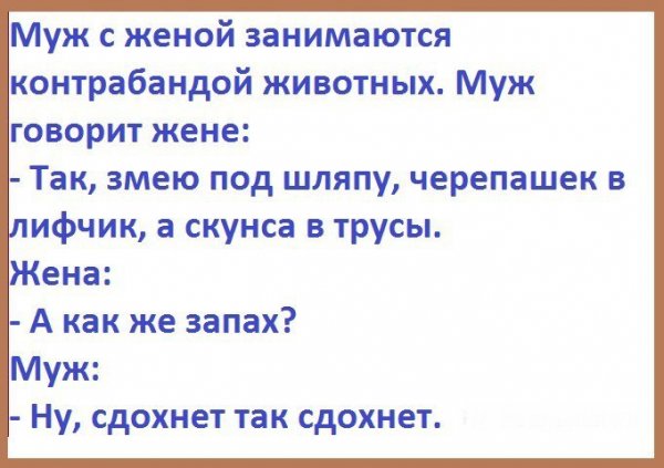 Деграклассники (3)