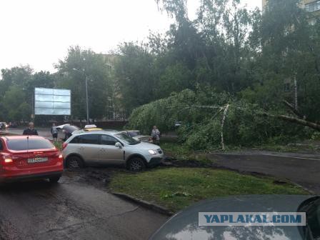 В Москве ураган!