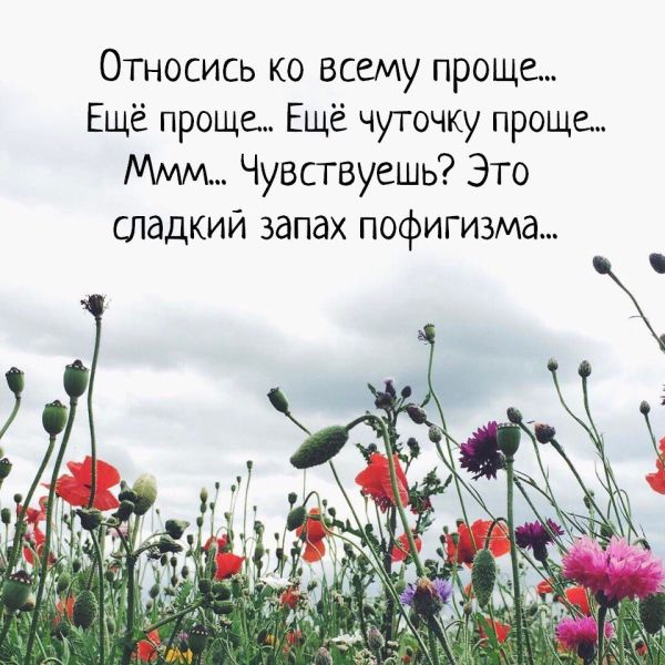 Подборка интересных и веселых картинок
