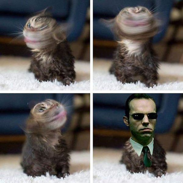 Юмор не для тех...