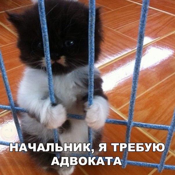 Картинки с надписями на разные темы - 2