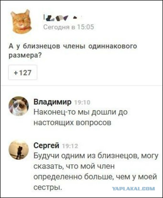 Смешные комментарии из социальных сетей 22.12.2017