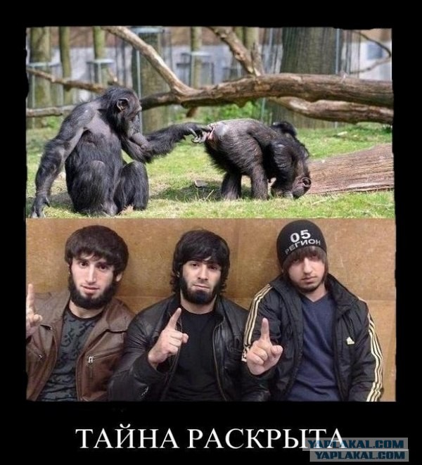 Побоище в Сургуте